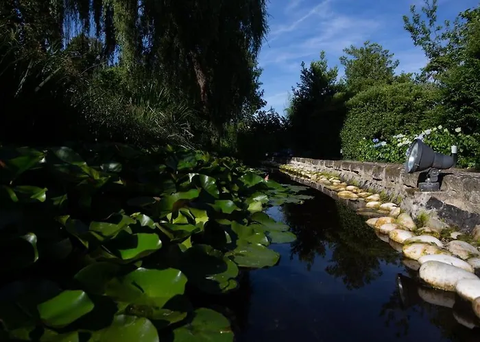 فيلة Quinta Gerais *